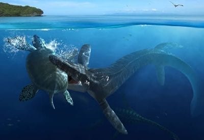 Archelon Tylosaurus Poster