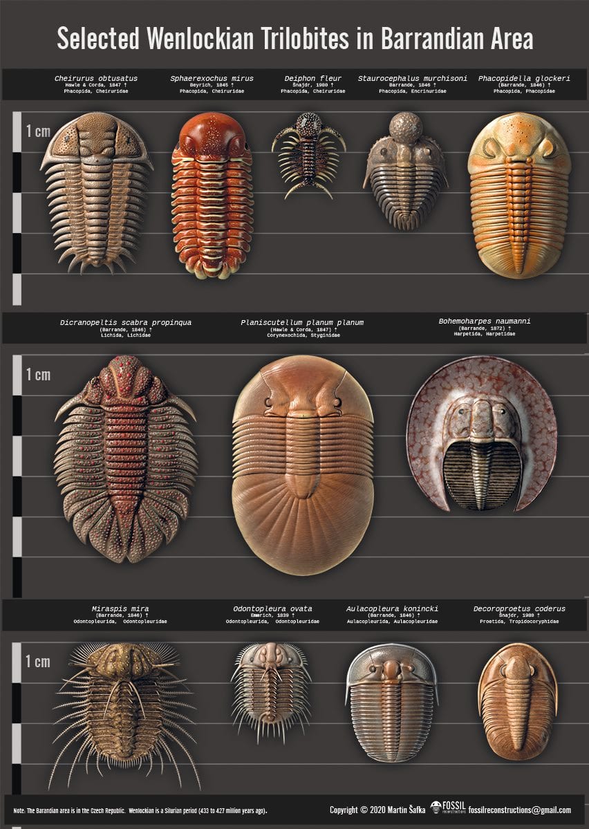 Selected Wenlockian Trilobites