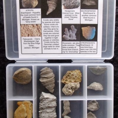 Michigan Fossil Teacher Kit