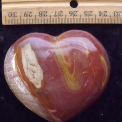 Petrified Wood Heart 3