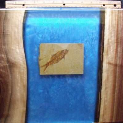 Fossil Fish Charcuterie Board