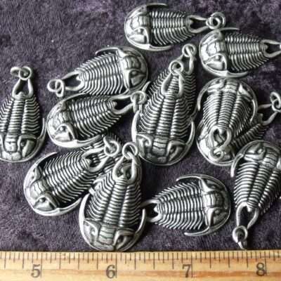 Trilobite Necklace Pendant